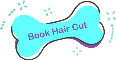 Book Hair Cut