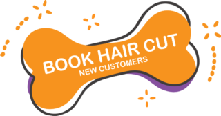 New Customers